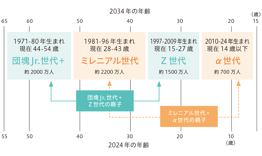 2024年・2034年の生産年齢の人口構造